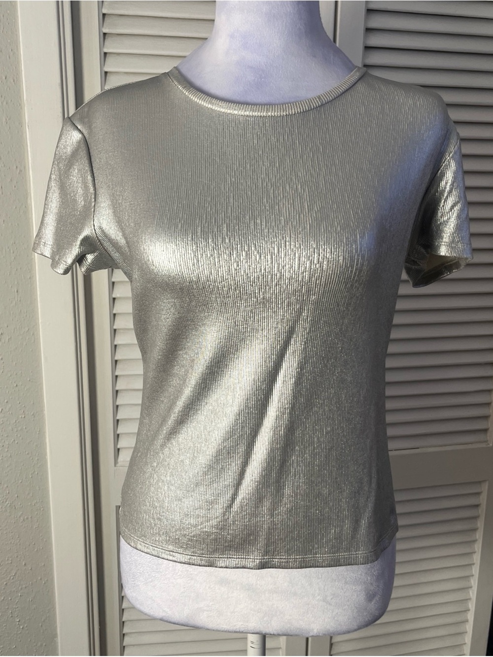 Another Love Metallic Silver Short Sleeve Crewneck Tee